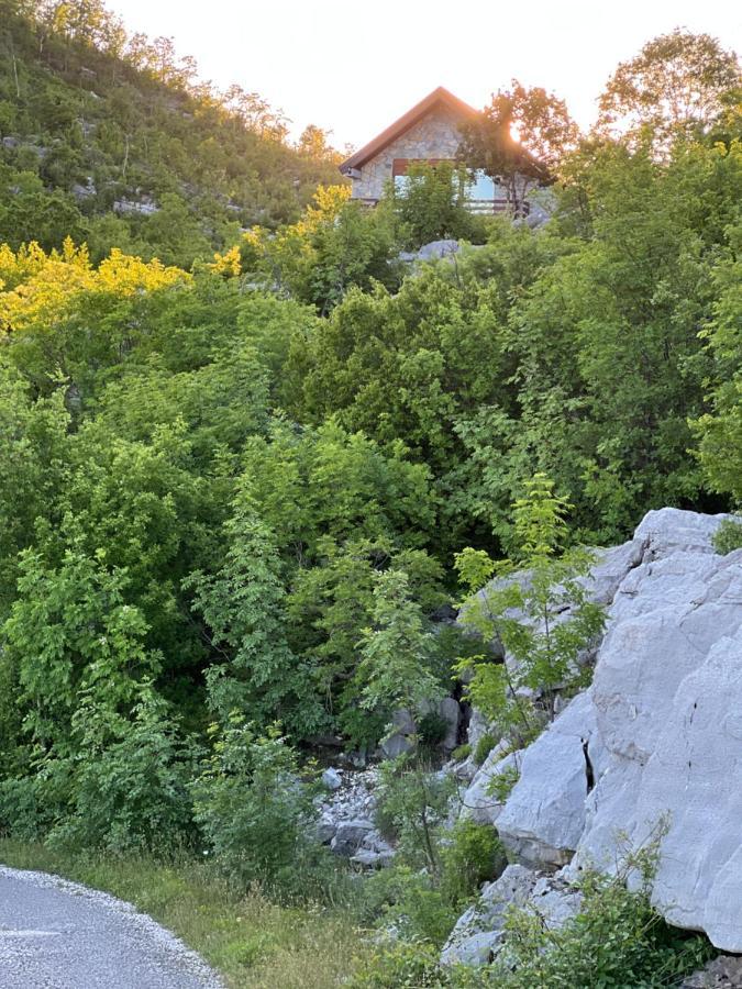 House On The Hill Villa Cetinje Buitenkant foto